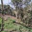  Terreno (Parcela) en venta en Guarne, Antioquia, Guarne, Antioquia, Colombia