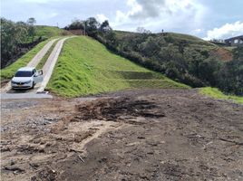  Terreno (Parcela) en venta en Guarne, Antioquia, Guarne, Antioquia, Colombia