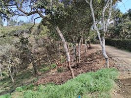  Land for sale in Guarne, Antioquia, Guarne