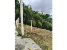  Land for sale in Dosquebradas, Risaralda, Dosquebradas