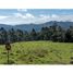 Terrain à vendre à Rionegro, Antioquia, Rionegro
