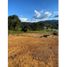 Terrain à vendre à Rionegro, Antioquia, Rionegro