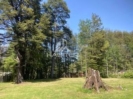  Land for sale in Supermercado Eltit, Pucon, Pucon