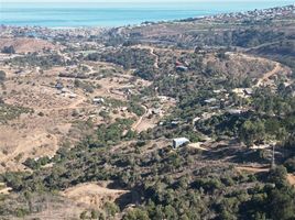  Land for sale in Valparaiso, Puchuncavi, Valparaiso, Valparaiso