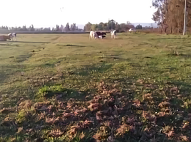  Grundstück zu verkaufen in Colchagua, Libertador General Bernardo Ohiggins, Chimbarongo