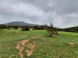  Terrain for sale in Melipilla, Santiago, Melipilla, Melipilla