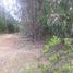  Land for sale in Licanten, Maule, Licanten, Curico