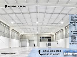 Estudio Casa en alquiler en Guadalajara, Jalisco, Guadalajara