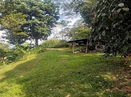  Terreno (Parcela) en venta en Manizales, Caldas, Manizales