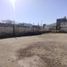  Land for rent in Ahome Sinaloa, Ahome