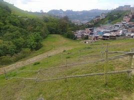  Terreno (Parcela) en venta en Manizales, Caldas, Manizales