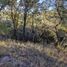  Land for sale in Zapopan, Jalisco, Zapopan, Jalisco