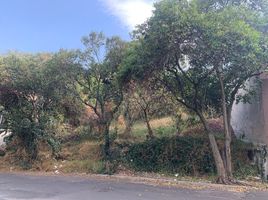 Terrain à vendre à Naucalpan De Juarez, Mexico, Naucalpan De Juarez, Mexico