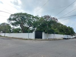  Grundstück zu verkaufen in Merida, Yucatan, Merida, Yucatan