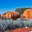  Land for sale in Tequila, Jalisco, Tequila