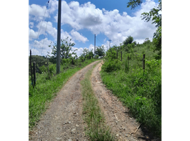  Terreno (Parcela) en venta en Pereira, Risaralda, Pereira