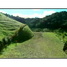  Land for sale in La Ceja, Antioquia, La Ceja, Antioquia