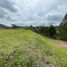  Land for sale in Guarne, Antioquia, Guarne