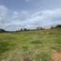  Land for sale in Guarne, Antioquia, Guarne