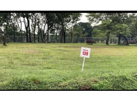  Grundstück zu verkaufen in Chame, Panama Oeste, Nueva Gorgona, Chame