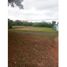  Land for sale in Las Lajas, Chame, Las Lajas