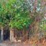  Terreno (Parcela) en venta en Centro, Tabasco, Centro, Tabasco