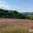 Terrain à vendre à Pereira, Risaralda, Pereira, Risaralda