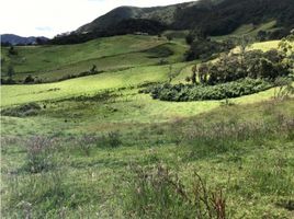 Estudio Casa en venta en Cogua, Cundinamarca, Cogua