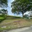  Land for sale in Filadelfia, Caldas, Filadelfia