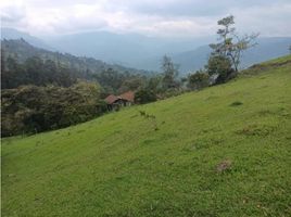 3 Habitación Villa en venta en Gacheta, Cundinamarca, Gacheta