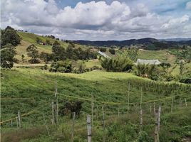  Terreno (Parcela) en venta en San Vicente, Antioquia, San Vicente