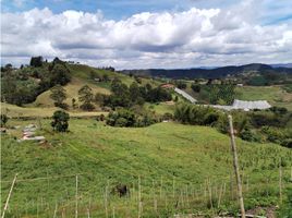  Terreno (Parcela) en venta en San Vicente, Antioquia, San Vicente