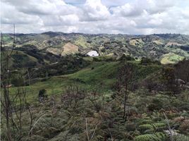  Terreno (Parcela) en venta en San Vicente, Antioquia, San Vicente