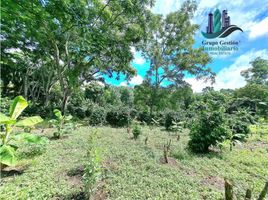 5 Schlafzimmer Haus zu verkaufen in Renacimiento, Chiriqui, Monte Lirio, Renacimiento, Chiriqui