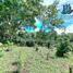5 Bedroom House for sale in Monte Lirio, Chiriqui, Monte Lirio, Renacimiento