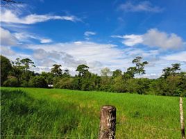 1 Habitación Casa en venta en Chiriquí, Plaza Caisán, Renacimiento, Chiriquí