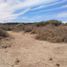  Land for sale in Tequila, Jalisco, Tequila