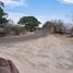  Land for sale in Tequila, Jalisco, Tequila