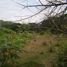  Land for sale in Tolima, Melgar, Tolima