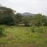  Land for sale in Tolima, Melgar, Tolima