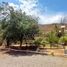 6 Habitación Casa en venta en Melipilla, Santiago, Curacavi, Melipilla