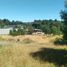 Terreno (Parcela) en venta en Chile, Villarrica, Cautín, Araucanía, Chile