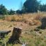  Terreno (Parcela) en venta en Chile, Villarrica, Cautín, Araucanía, Chile