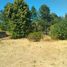  Terreno (Parcela) en venta en Chile, Villarrica, Cautín, Araucanía, Chile