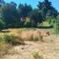  Grundstück zu verkaufen in Villarrica, Araucania, Villarrica, Cautin, Araucania