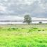 5 Bedroom House for sale in Las Cabras, Cachapoal, Las Cabras