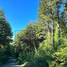  Land for sale in Chile, Panguipulli, Valdivia, Los Rios, Chile