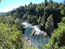  Land for sale in Chile, Panguipulli, Valdivia, Los Rios, Chile