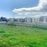  Land for sale in Chile, Coihueco, Punilla, Nuble, Chile