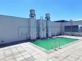 2 Bedroom Apartment for rent in Chile, Santiago, Santiago, Santiago, Chile